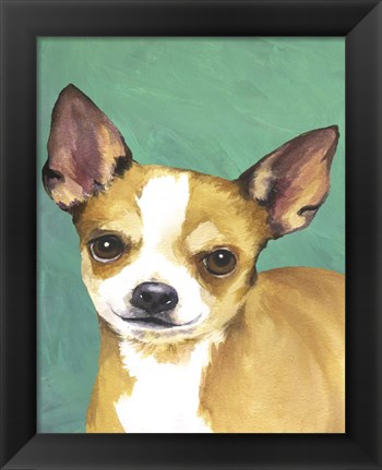 Framed Dog Portrait-Chihuahua Print