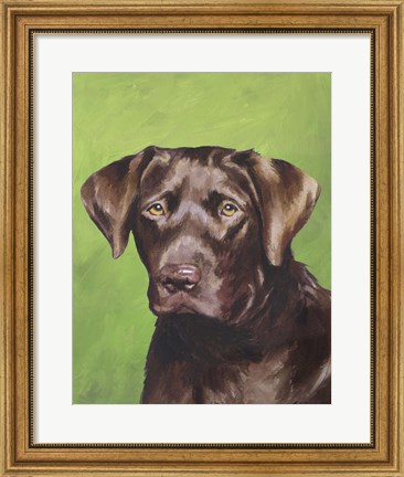 Framed Dog Portrait-Chocolate Print