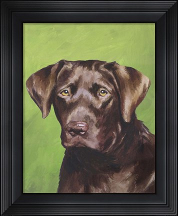 Framed Dog Portrait-Chocolate Print