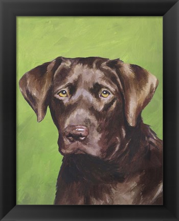 Framed Dog Portrait-Chocolate Print