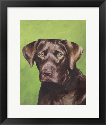 Framed Dog Portrait-Chocolate Print