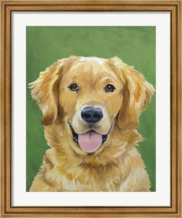 Framed Dog Portrait-Golden Print