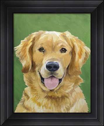 Framed Dog Portrait-Golden Print