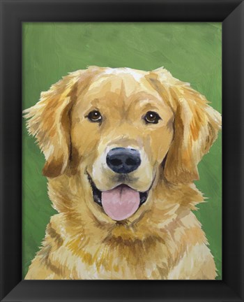 Framed Dog Portrait-Golden Print