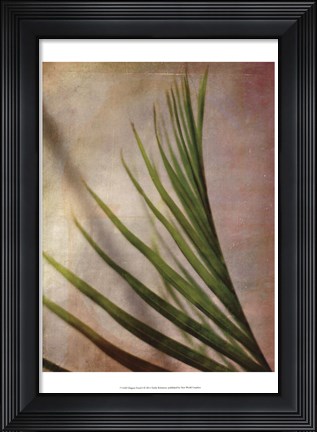 Framed Elegant Frond I Print