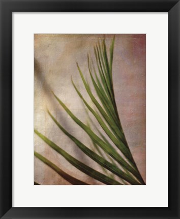 Framed Elegant Frond I Print