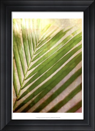 Framed Elegant Frond II Print