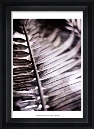 Framed Silvery Frond I Print