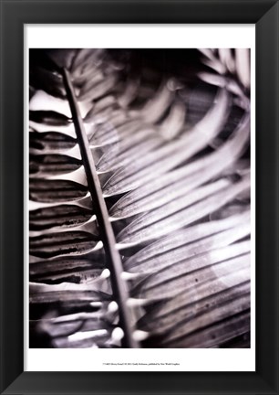 Framed Silvery Frond I Print