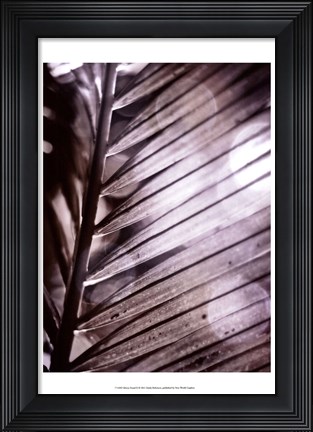 Framed Silvery Frond II Print