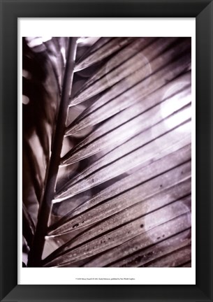 Framed Silvery Frond II Print