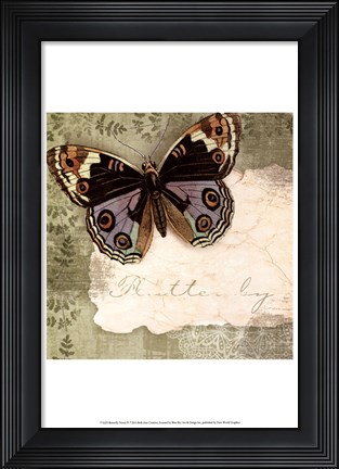 Framed Butterfly Notes IV Print