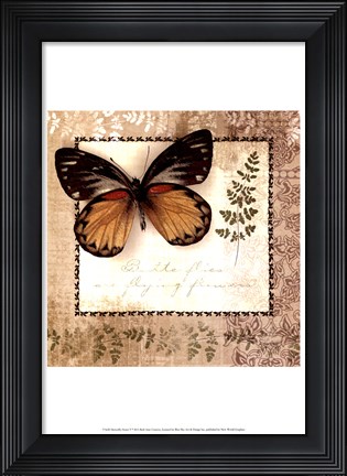 Framed Butterfly Notes V Print