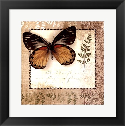 Framed Butterfly Notes V Print