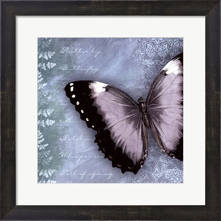 Framed Butterfly Notes X Print