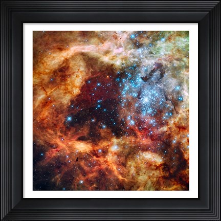 Framed Hubble Space Telescope image of the R136 Super Star Cluster Print