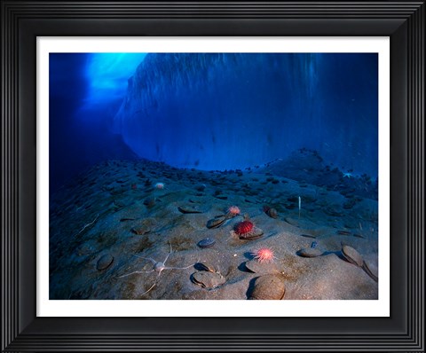 Framed Ice Wall and the Ocean Floor at Explorer's Cover Print