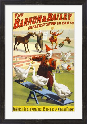 Framed Barnum &amp; Bailey Performing Geese, Roosters and Musical Donkey Print