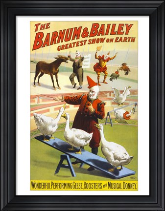 Framed Barnum &amp; Bailey Performing Geese, Roosters and Musical Donkey Print