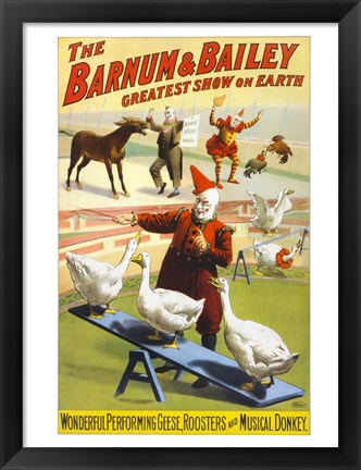 Framed Barnum &amp; Bailey Performing Geese, Roosters and Musical Donkey Print