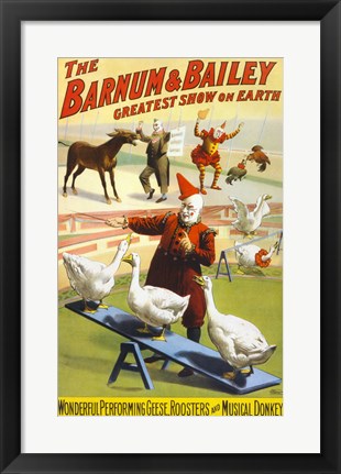 Framed Barnum &amp; Bailey Performing Geese, Roosters and Musical Donkey Print