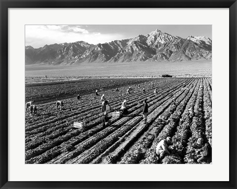 Framed Farm Workers and Mt. Williamson Print