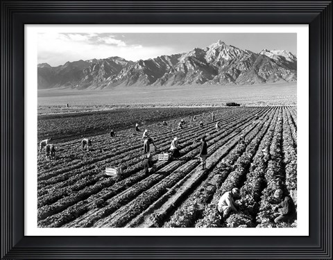Framed Farm Workers and Mt. Williamson Print