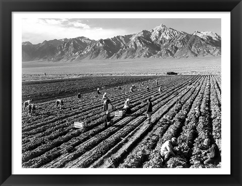 Framed Farm Workers and Mt. Williamson Print