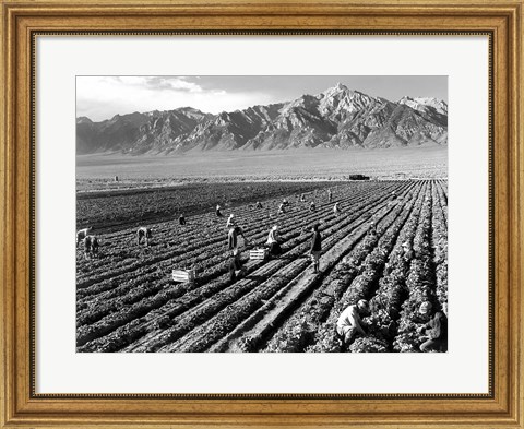 Framed Farm Workers and Mt. Williamson Print