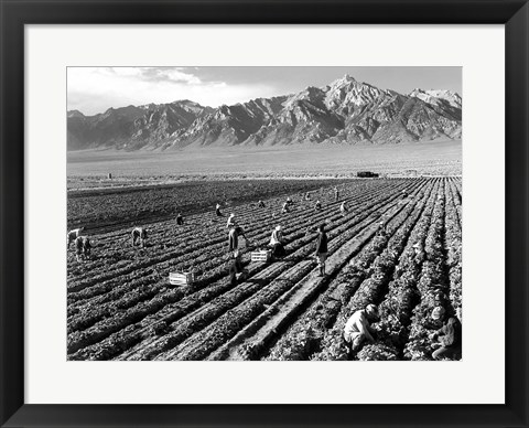 Framed Farm Workers and Mt. Williamson Print