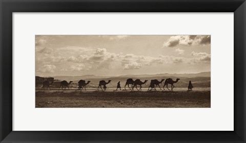 Framed Egyptian Camel Transport Print