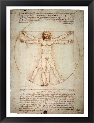 Framed Vitruvian Man Print