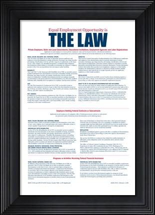 Framed Equal Opportunity Employment 2012 Print