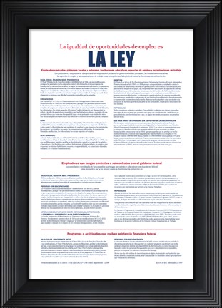 Framed Equal Opportunity Employment Spanish Version 2012 Print
