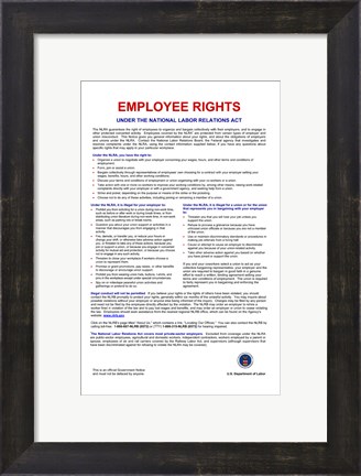 Framed Employee Rights Print