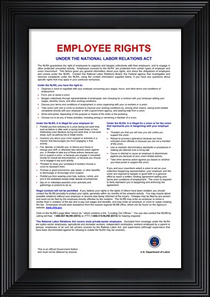 Framed Employee Rights Print