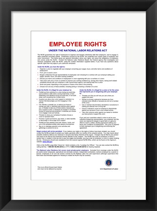 Framed Employee Rights Print