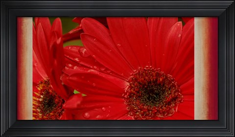 Framed Floral Fusion Print