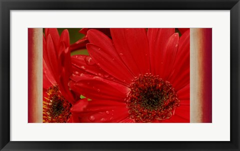 Framed Floral Fusion Print