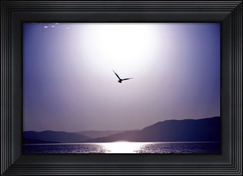 Framed Take Flight Print