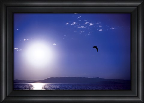 Framed Flathead Lake Print