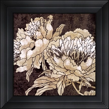 Framed Bella Nova I Print