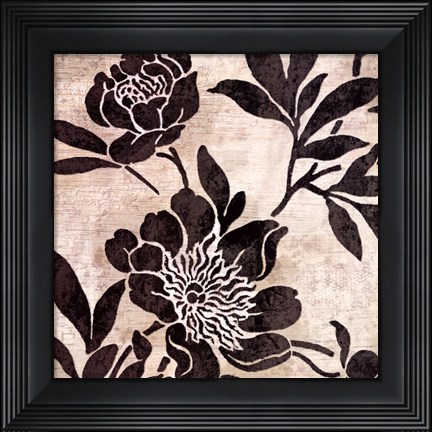 Framed Bella Nova II Print