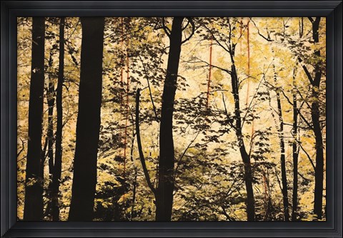 Framed Golden Wood Print