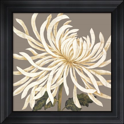 Framed Glorious Whites I Print