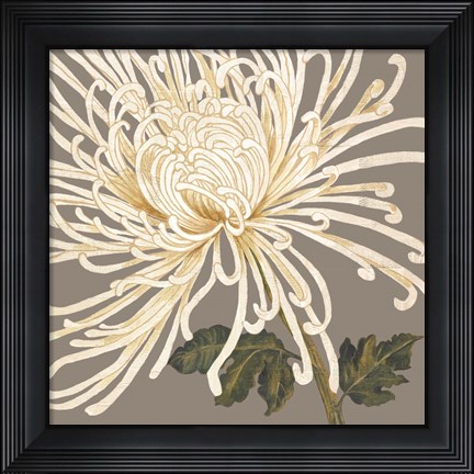 Framed Glorious Whites II Print