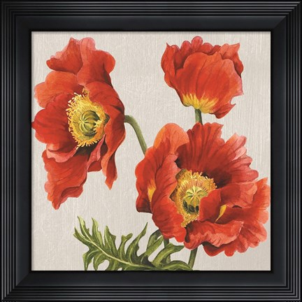 Framed Poppies on Silk Print