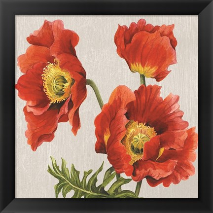 Framed Poppies on Silk Print