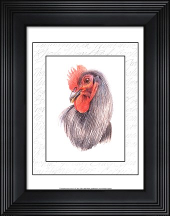 Framed Rooster Insets IV Print