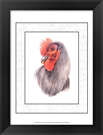 Framed Rooster Insets IV Print